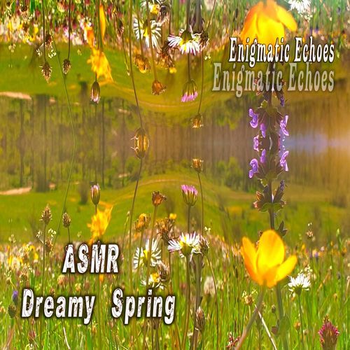 Asmr Dreamy Forest Ambience cover art