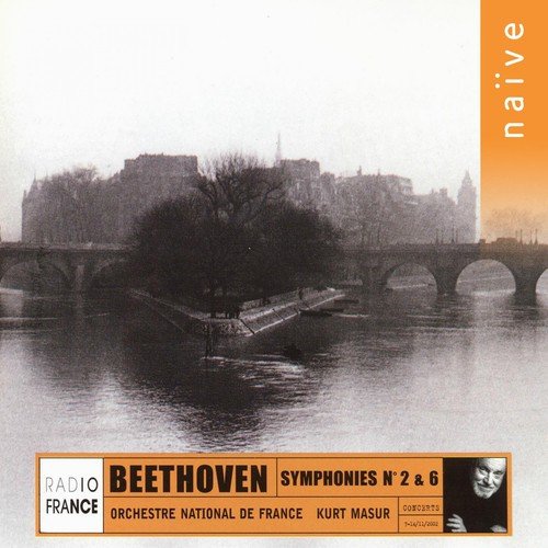 Symphonie No. 2 in D Major, Op. 36: IV. Finale: Allegro molto