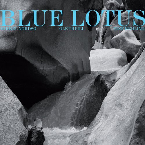 Blue Lotus