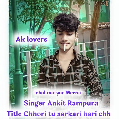 Chhori tu sarkari hari chh  Ankit Rampura