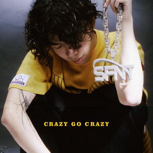 Crazy Go Crazy_poster_image