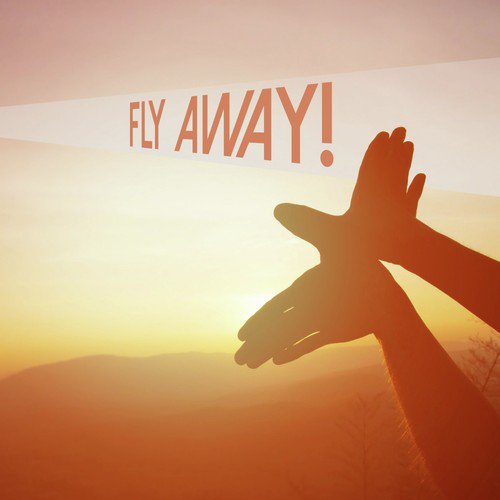 Fly Away!