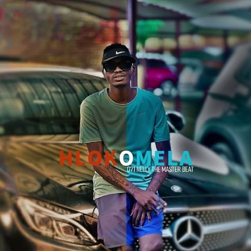 Hlokomela cover art