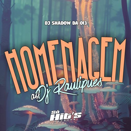 Homenagem ao DJ Raulipues cover art