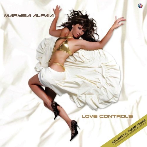 Love Controls_poster_image