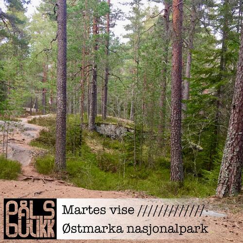 Østmarka nasjonalpark cover art