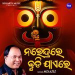 Narendrare Budi Jaaere