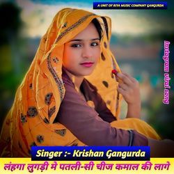 लंहगा लुगड़ी मे पतली-सी चीज कमाल की लागे