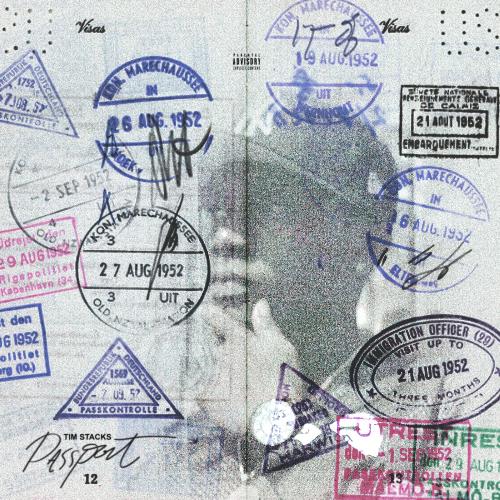 Passport cover art
