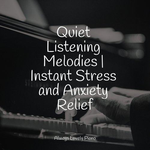 Quiet Listening Melodies | Instant Stress and Anxiety Relief_poster_image