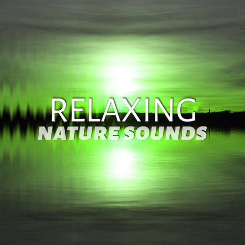 Relaxing Nature Sounds - Healing Through Sound and Touch, Time to Spa Music Background for Wellness