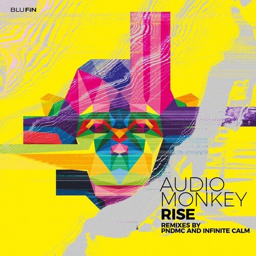 Rise (Pndmc Remix) cover art