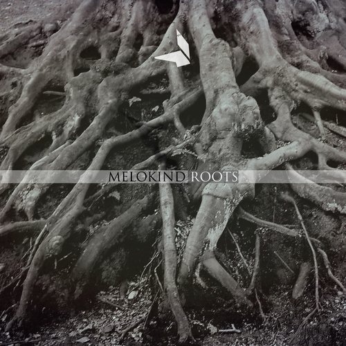Lorde cover art