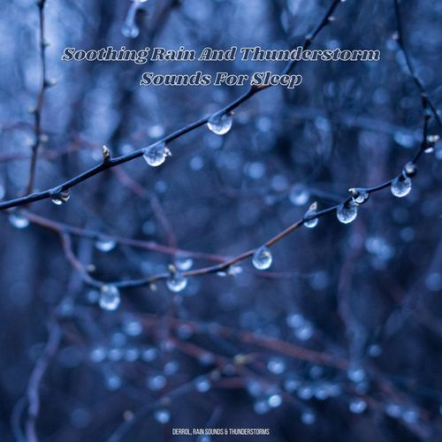 Rain Water Sounds cover art