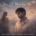 Tere Dil Mein Kya Tha