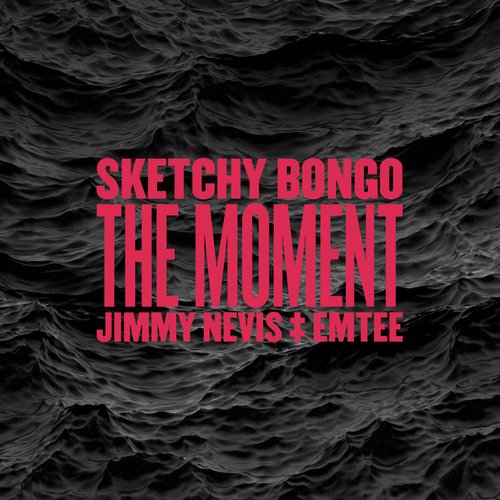 The Moment (feat. Jimmy Nevis &amp; Emtee)_poster_image