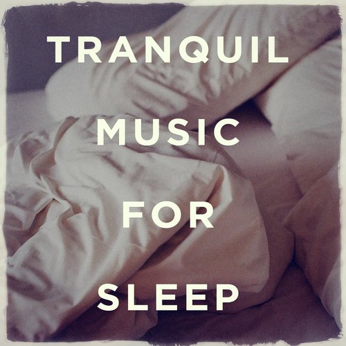 Tranquil Music for Sleep