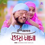 Tumi Amar Priyo Mama