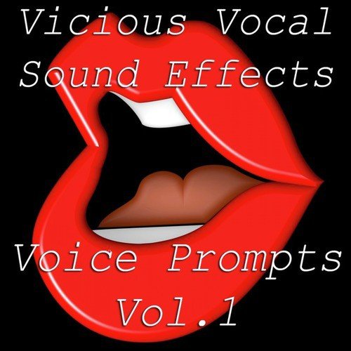 Male Urban Hip-Hop Vocal With FX Sound Effects DJ Vocal Sample Spoken Phrases