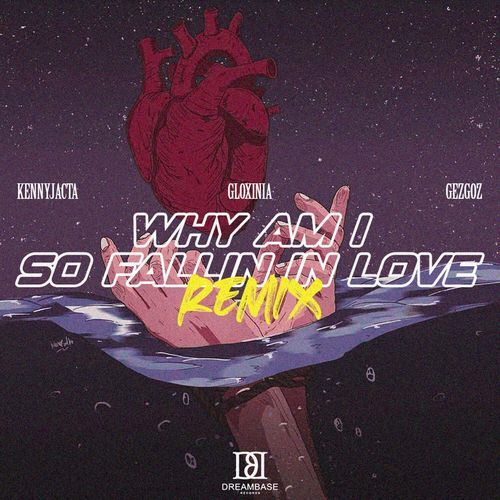 Why Am I So Fallin in Love (Remix)_poster_image