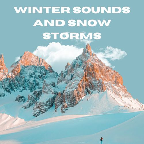 Winter Sounds And Snow Storms