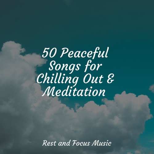 50 Peaceful Songs for Chilling Out & Meditation