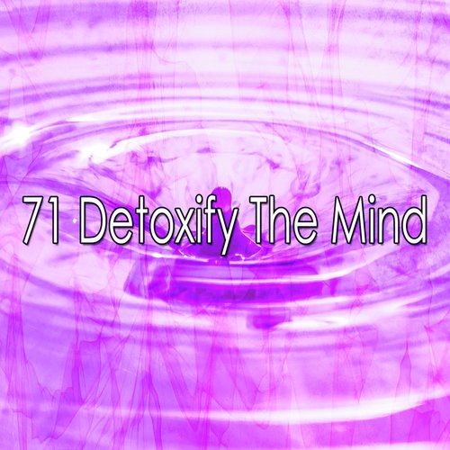 71 Detoxify the Mind_poster_image