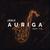 Auriga (feat. T.R.)