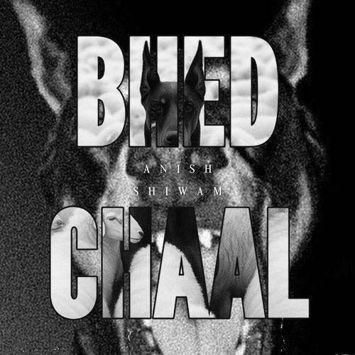 BHED CHAAL