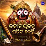 Chakanayana Ku Patita Kehi Instrumental