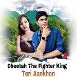 Cheetah The Fighter King Teri Aankhon
