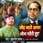 Chhod Jate Agar Bheem Sote Huwe