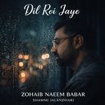 Dil Roi Jaye