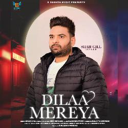 Dilaa Mereya-XRo9eBVHblQ