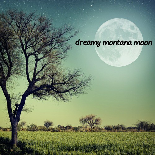 Dreamy Montana Moon_poster_image