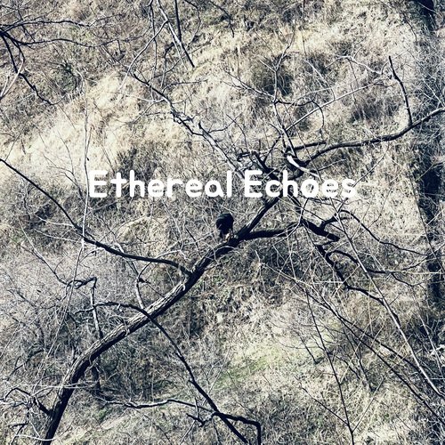 Ethereal Echoes_poster_image