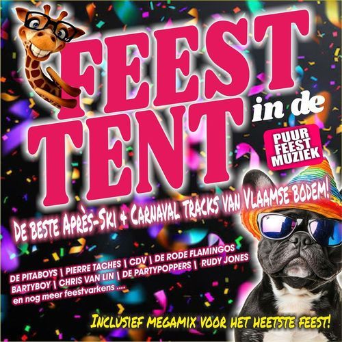 Feest In De Tent_poster_image