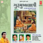 Dokad Banyu Chhe Dav Nu