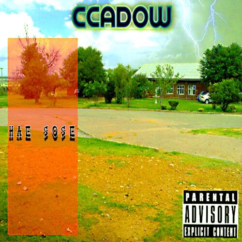 HAE SOSE cover art