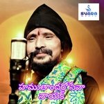 Hamuthandero Seva Naik