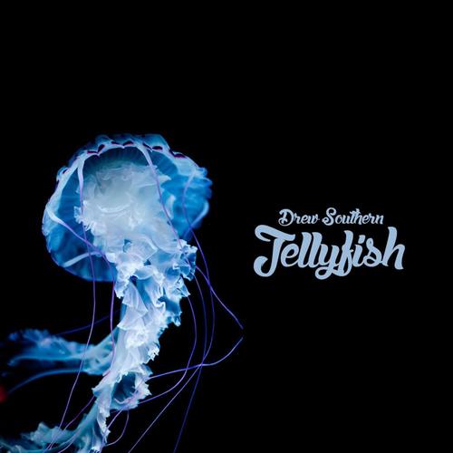 Jellyfish_poster_image