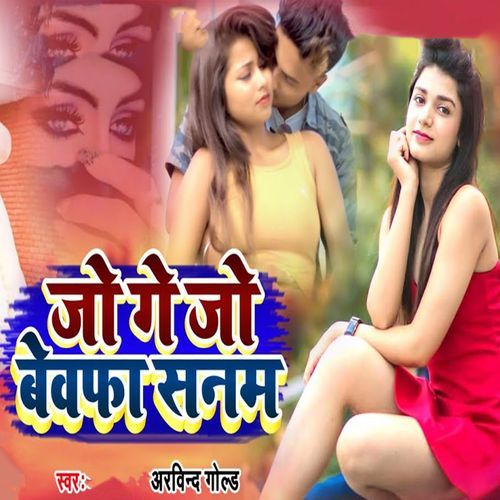 Jo Ge Jo Bewafa Sanam