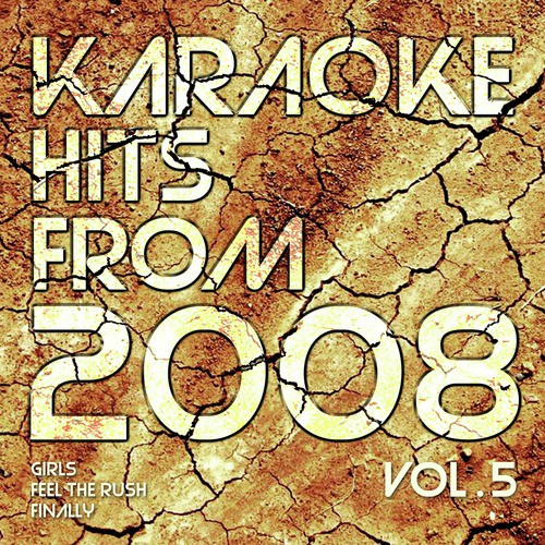 Karaoke Hits from 2008, Vol. 5