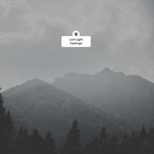 Low Pulse cover art