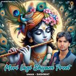 Meri Lagi Shyam Preet