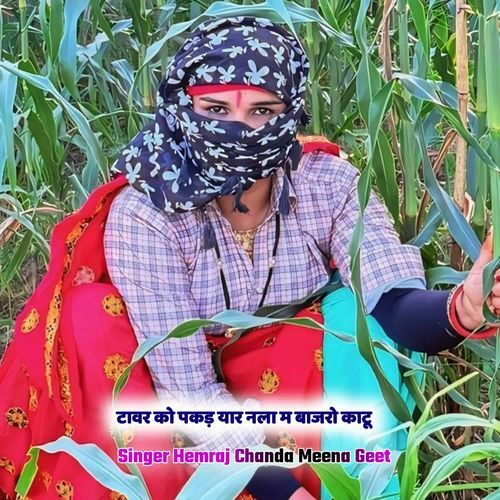 टावर को पकड़ यार नला म बाजरो काटू