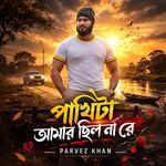 Pakhita Amar Chilo Na Re