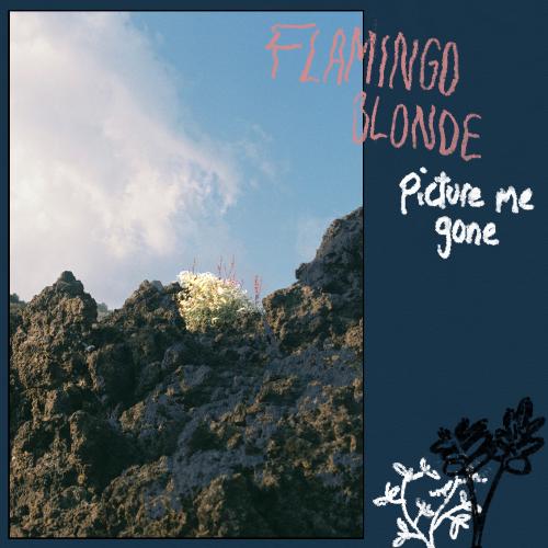 Picture Me Gone cover art