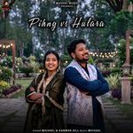 Pihng V/S Hulara