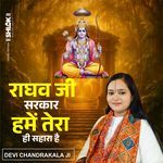 Raghav Ji Sarkar Hame Tera Hi Sahara Hai (Live) artwork